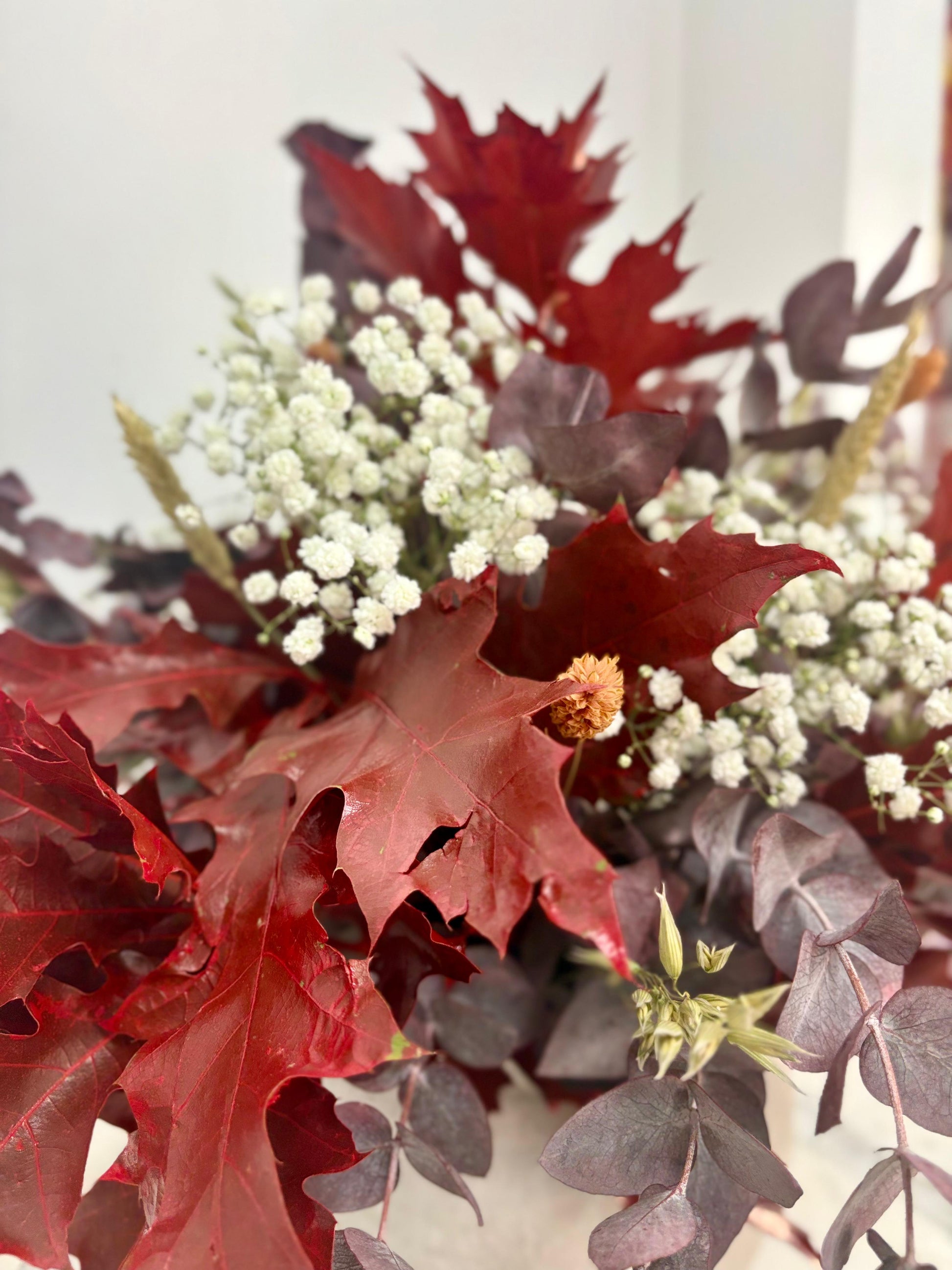 ramo eucalipto moderno