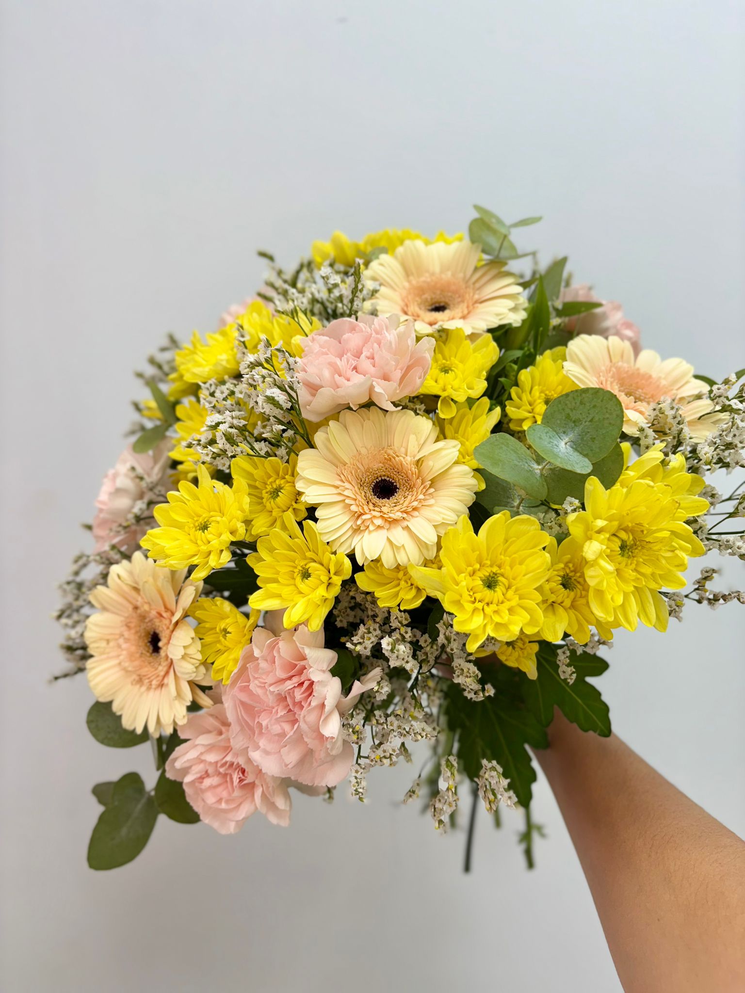 ramo en 24 horas en almeria