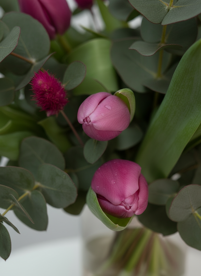 Ramo de tulipanes rosas