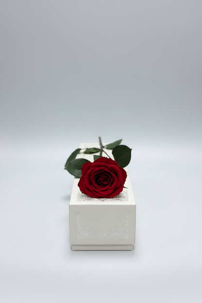 True Love - Caja con con rosa eterna