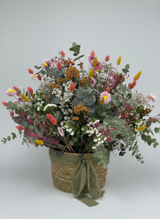 cesto preservado silvestre