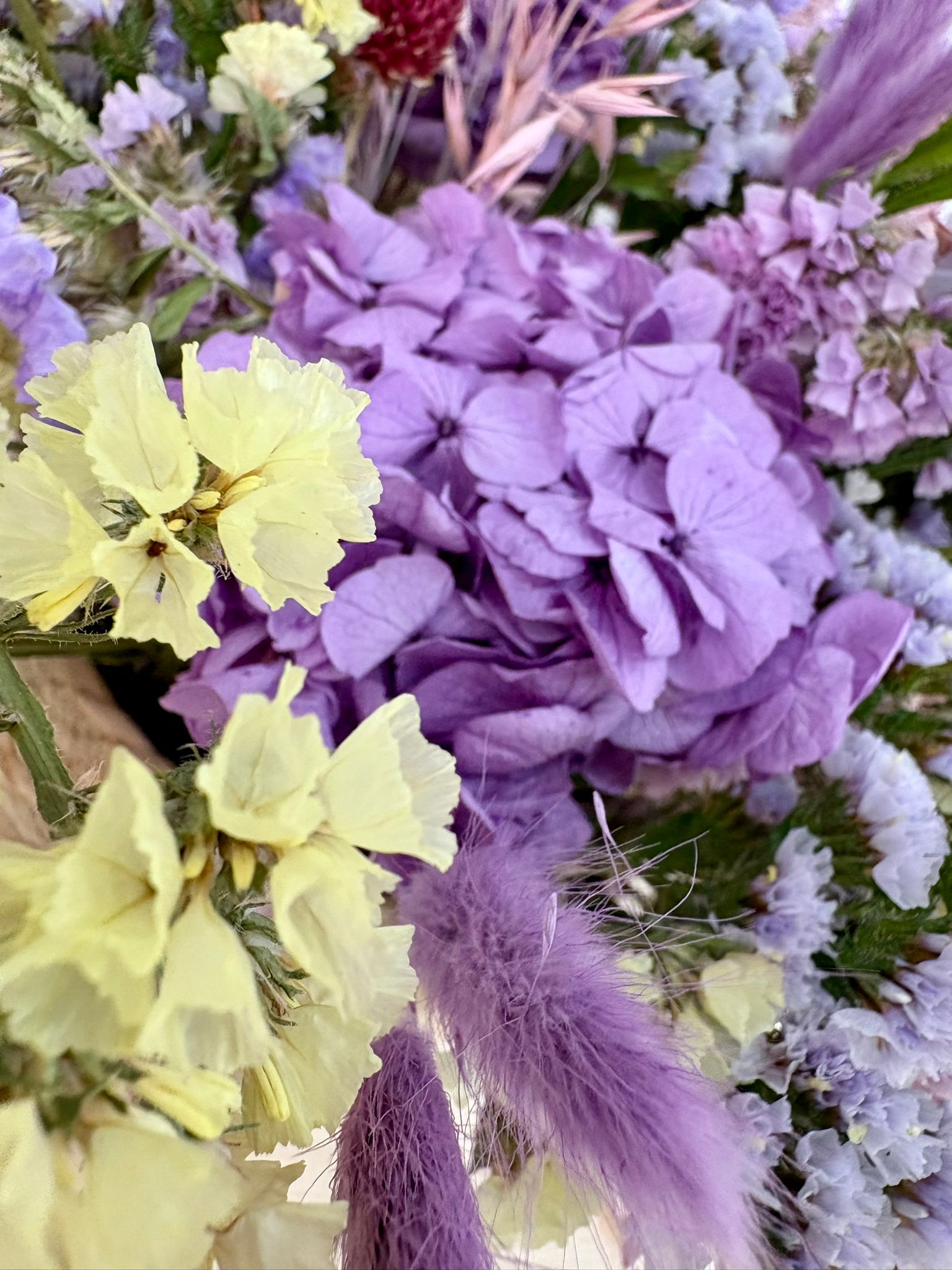 flores secas