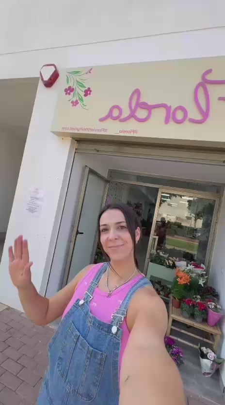 Cargar video: 