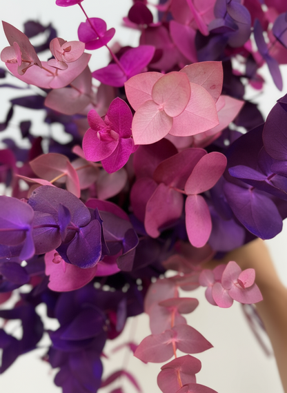 Ramo eucalipto colores